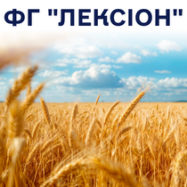 lexion